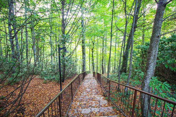 Güzeldere Şelalesi Tabiat Parkı