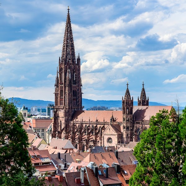 Freiburger Münster