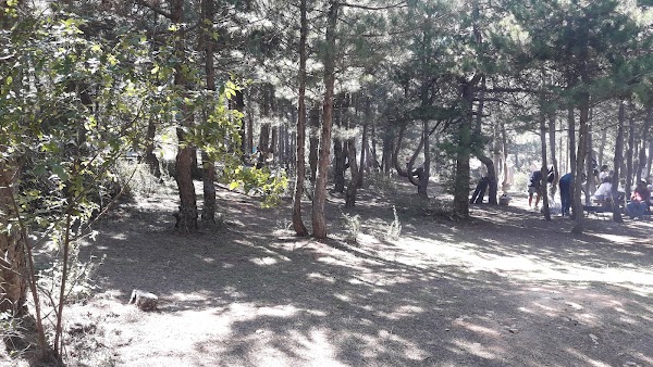 Spil Dağı Piknik Alanı