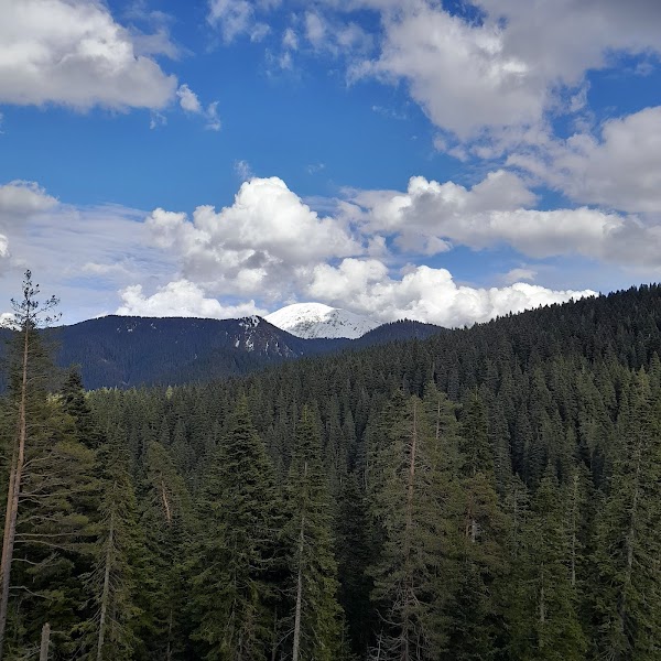Ilgaz Dağı Milli Parkı