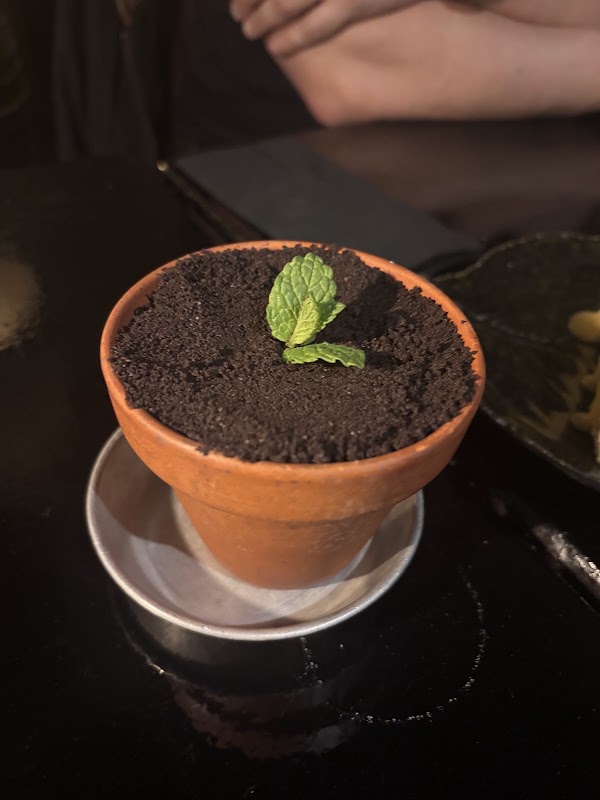 Restaurante Cantina 32