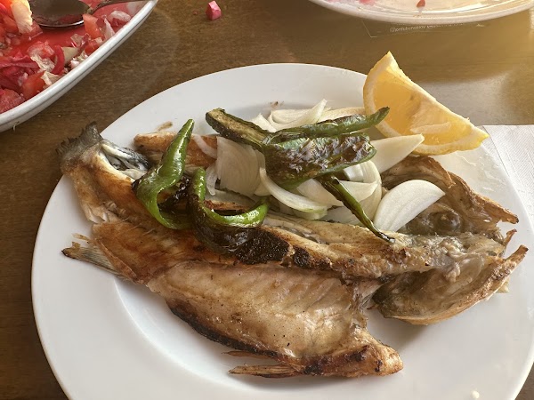 Vonalı Celal Restoran