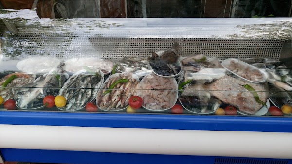 Vonalı Celal Restoran