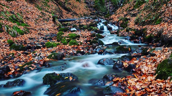 Yedigöller National Park