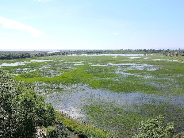 Aiguamolls de l'Empordà