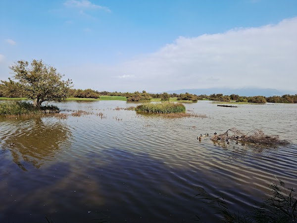 Aiguamolls de l'Empordà
