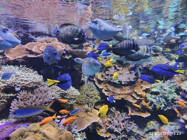 Aquarium national du Danemark