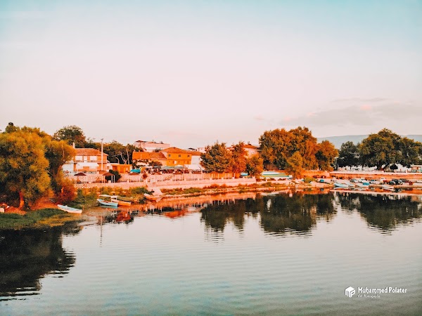 Gölyazı