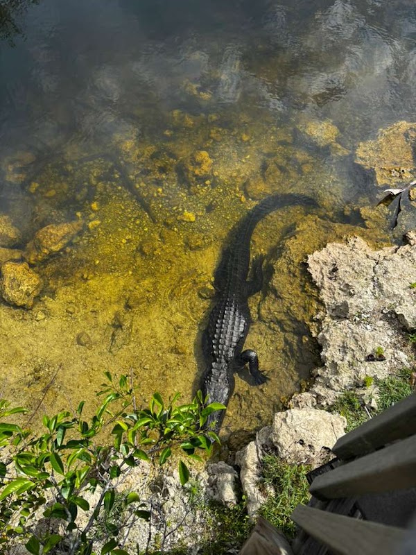 Big Cypress National Preserve - Oasis Visitor Center