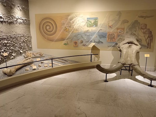 Museo de Linares A.C.