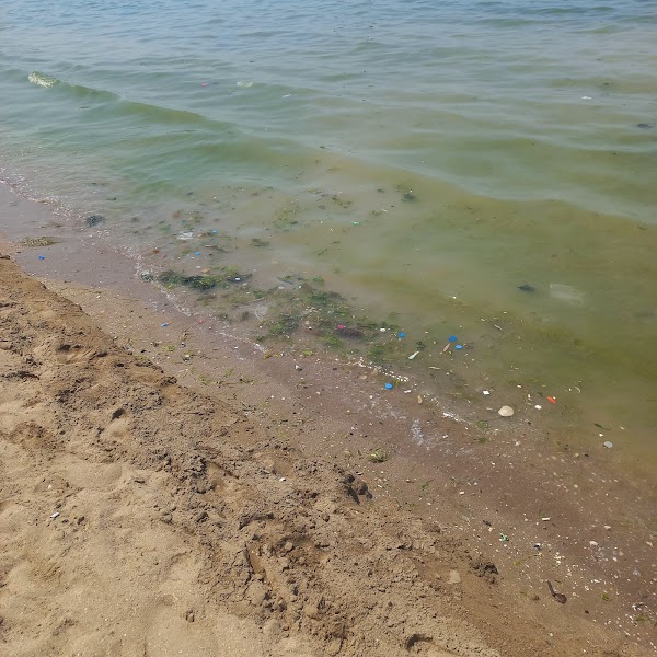Bayramoğlu Halk Plajı