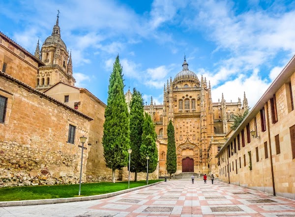 Catedral Nueva de la Asunción de la Virgen
