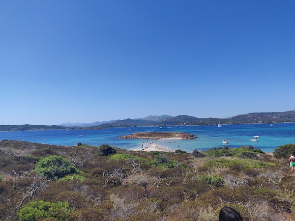Spalmatore di terra