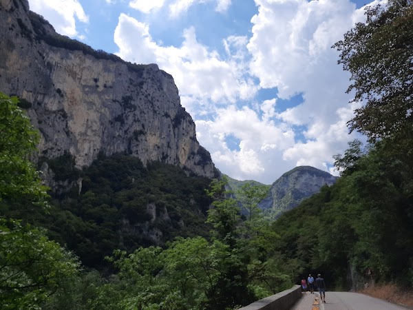 Furlo Gorge State Nature Reserve