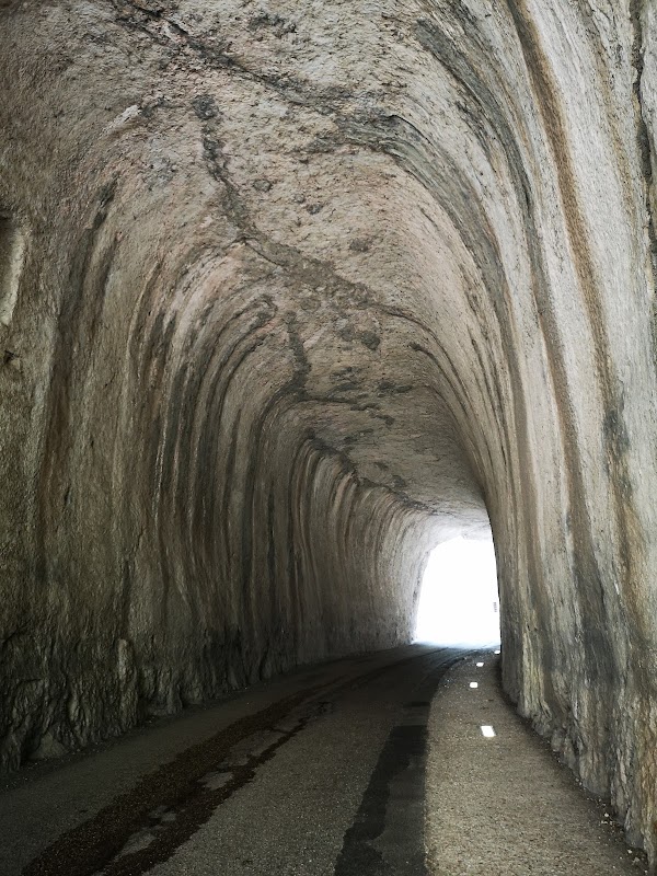 Furlo Gorge State Nature Reserve
