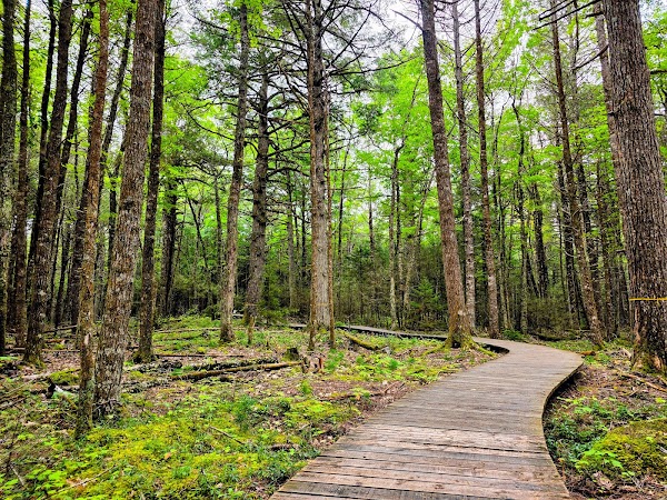 Hemlocks & Hardwoods Trail