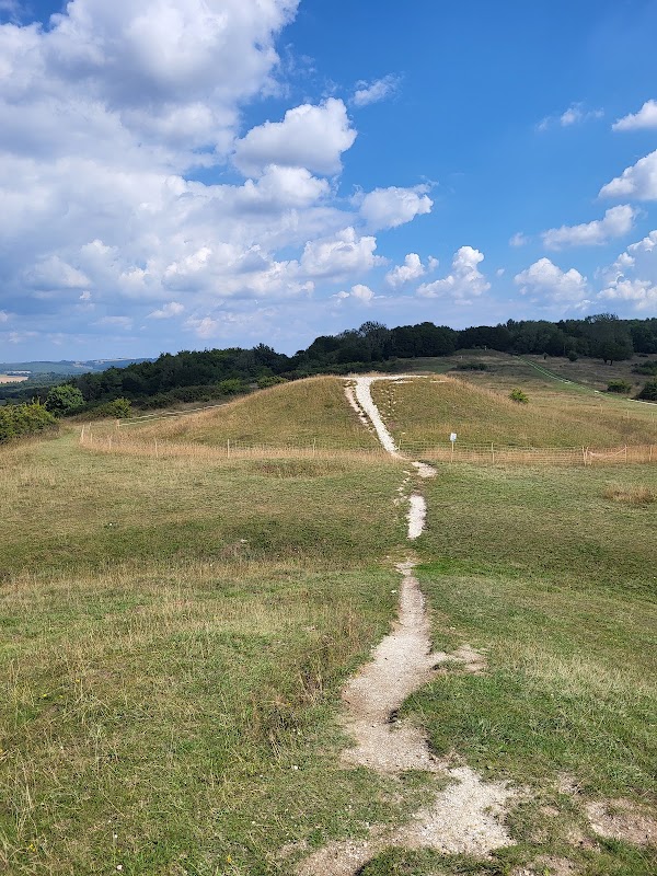 Kingley Vale National Nature Reserve