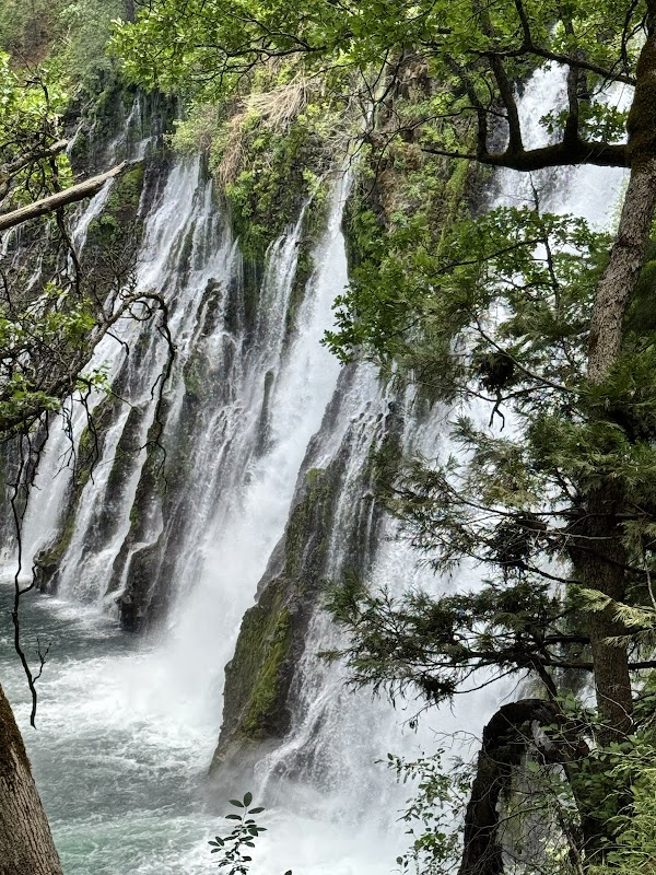 McArthur-Burney Falls Memorial State Park