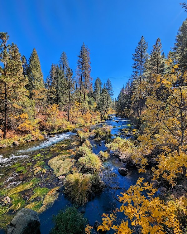 McArthur-Burney Falls Memorial State Park
