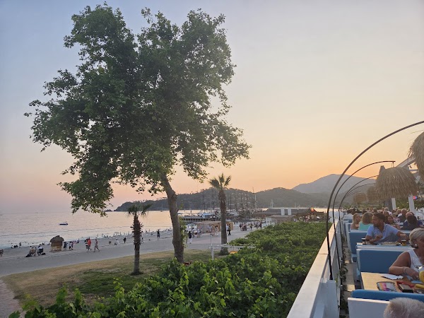 Buzz Beach Bar