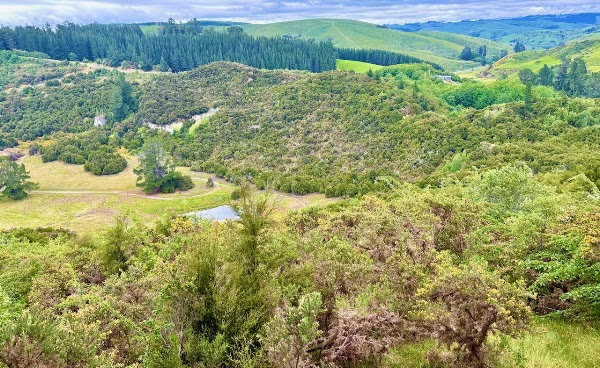 Gabriel's Gully Interpretation Walk