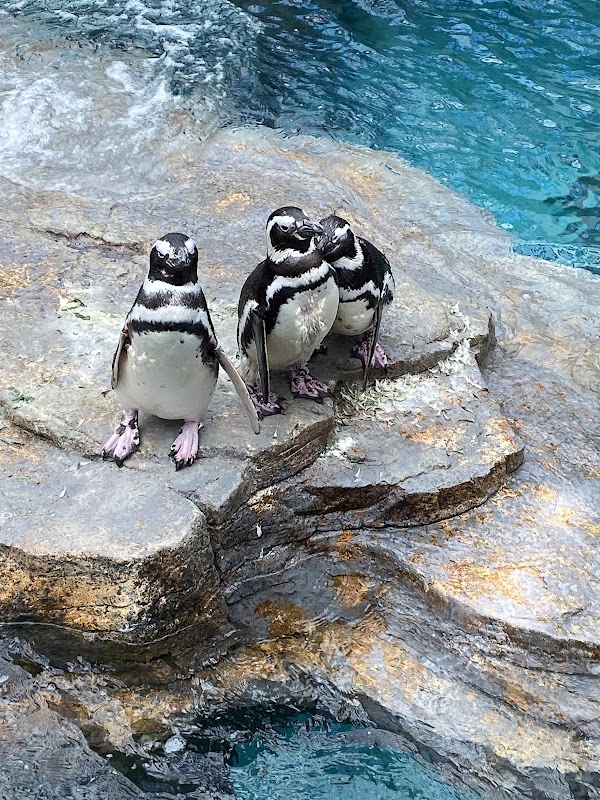 Oceanário de Lisboa