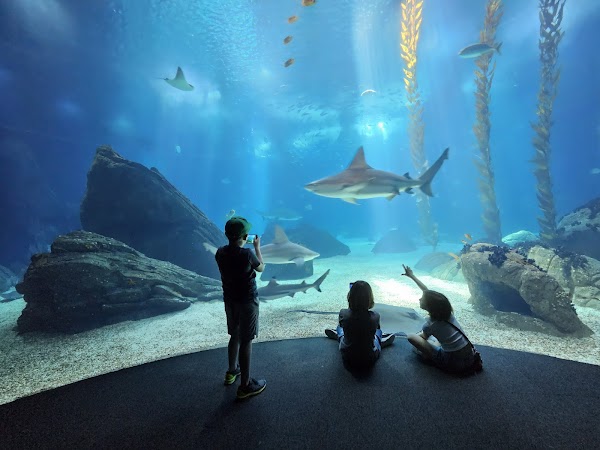Oceanário de Lisboa