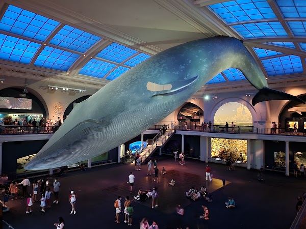 American Museum of Natural History