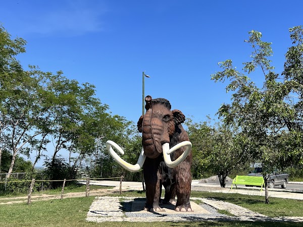 Museo de Historia Natural de Tamaulipas TAMUX
