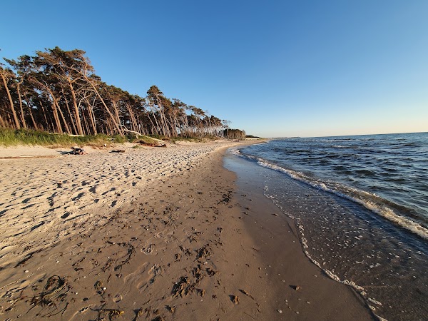 Nationalpark Vorpommersche Boddenlandschaft