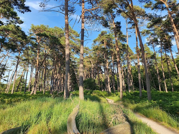 Nationalpark Vorpommersche Boddenlandschaft