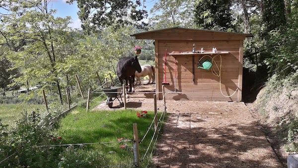 Camping Pronto Campi