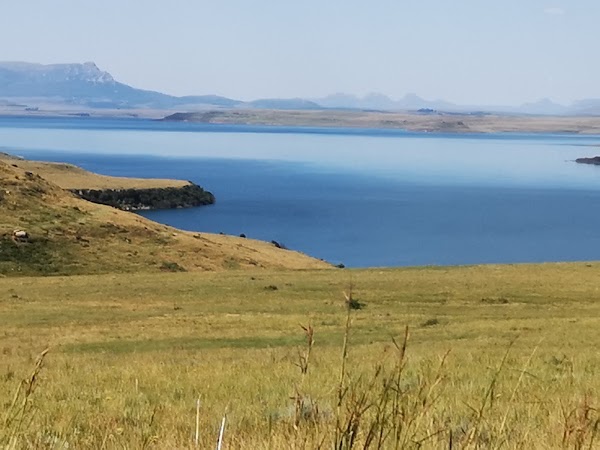Sterkfontein Dam Nature Reserve