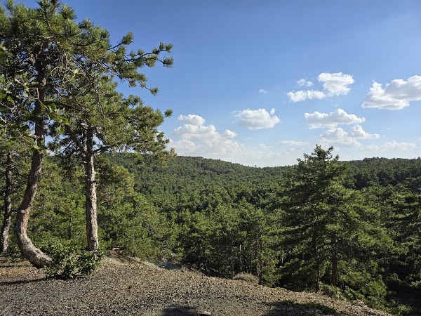 Beynam Ataturk Forest