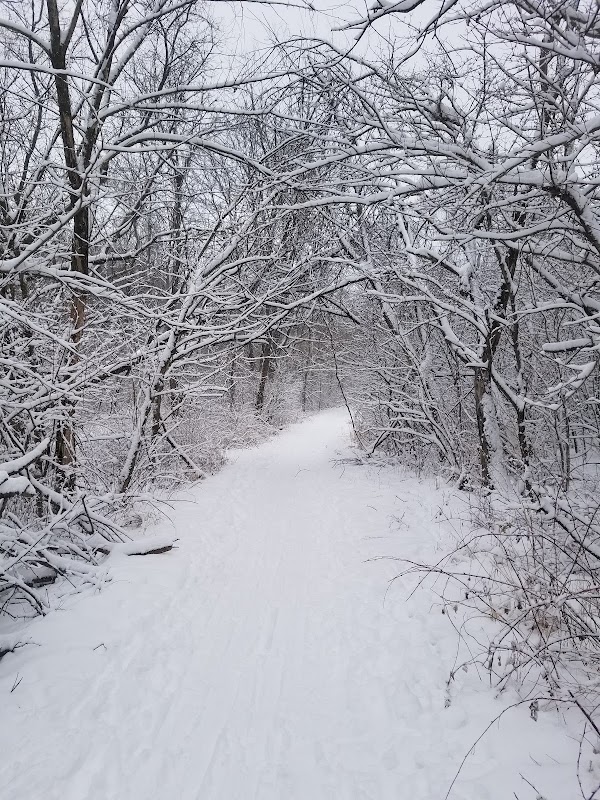 Hickory Hill Park