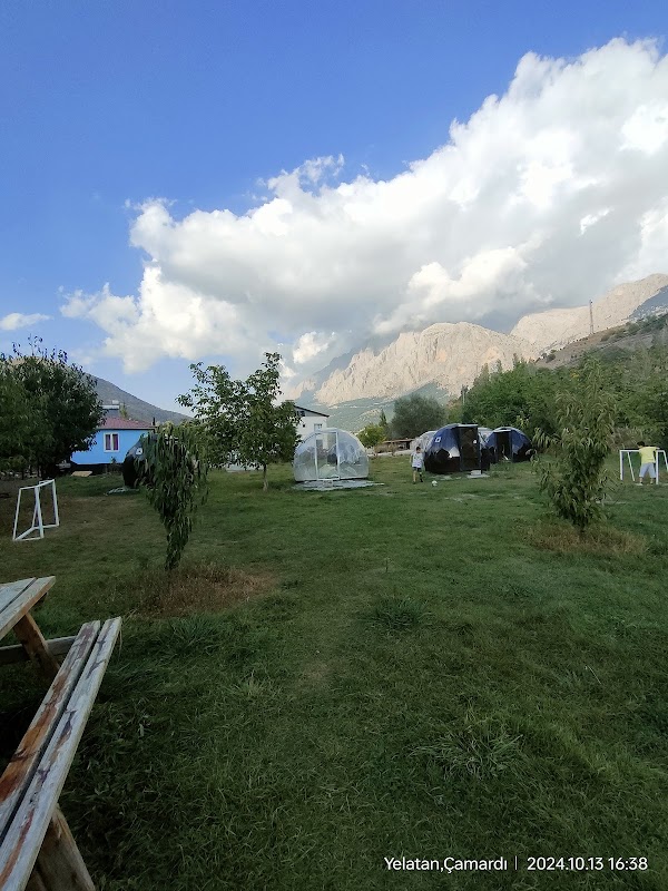 Alinin Yeri Et Ve Canlı Alabalık