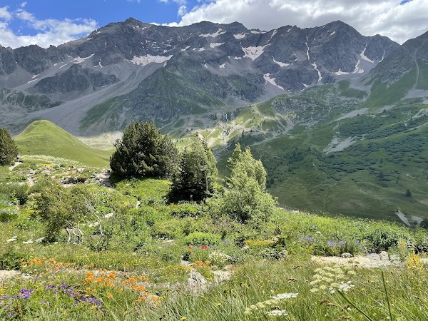 Jardin du Lautaret