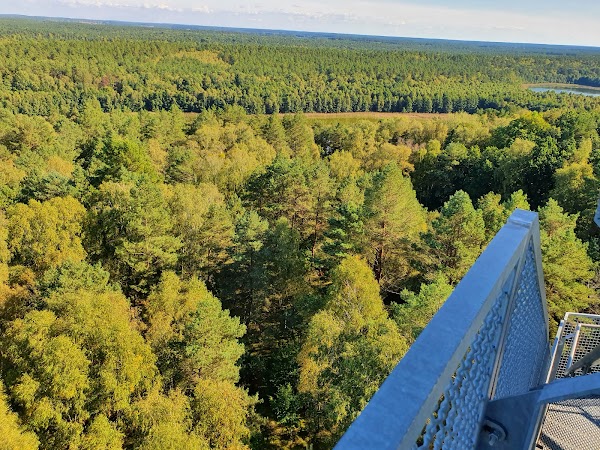 Aussichtsturm Käflingsberg im Müritz-Nationalpark