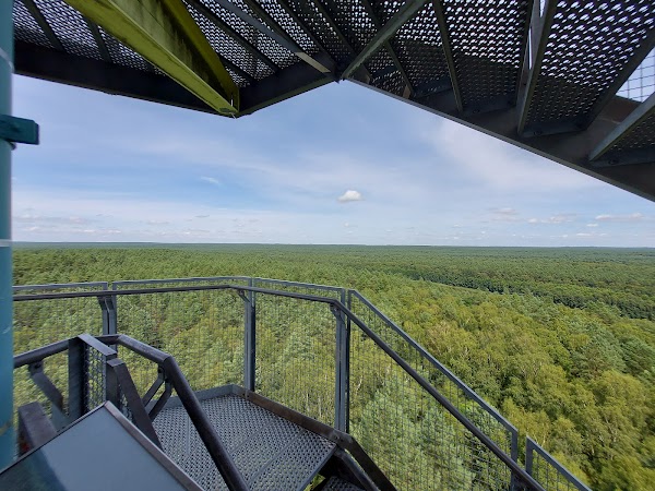 Aussichtsturm Käflingsberg im Müritz-Nationalpark