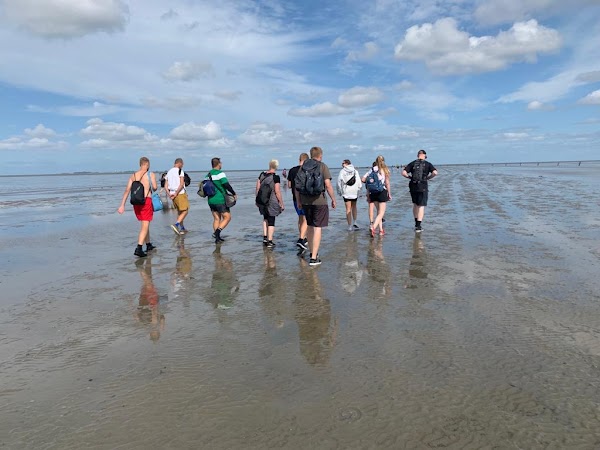 Wunderwelt Watt - Wattwanderung Cuxhaven - Neuwerk - Sahlenburg
