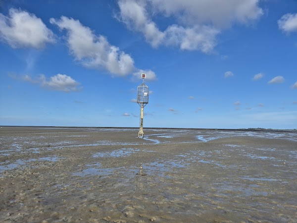 Wunderwelt Watt - Wattwanderung Cuxhaven - Neuwerk - Sahlenburg