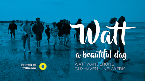 Wunderwelt Watt - Wattwanderung Cuxhaven - Neuwerk - Sahlenburg