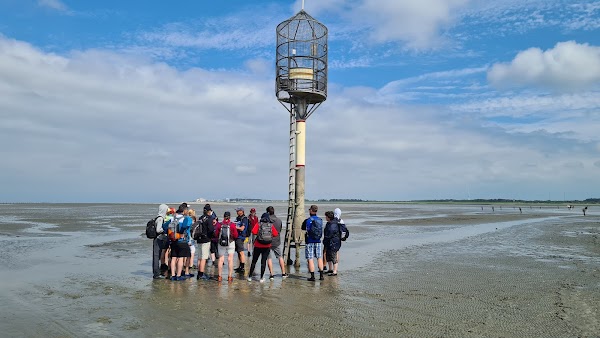 Wunderwelt Watt - Wattwanderung Cuxhaven - Neuwerk - Sahlenburg