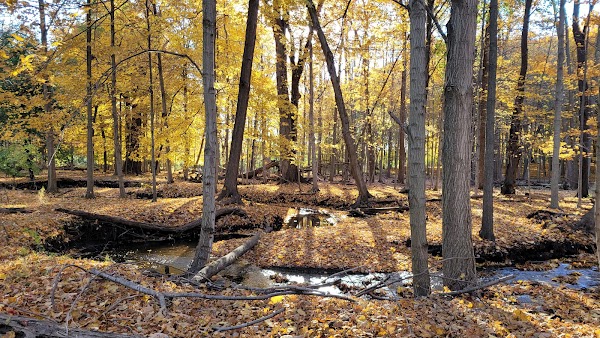Stage Nature Center
