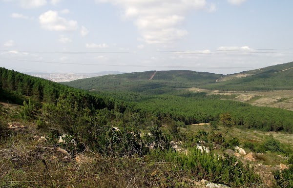 Aydos Forest
