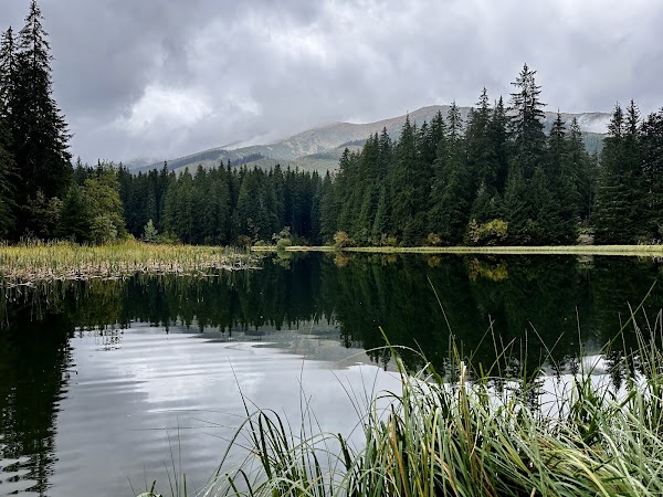 Vrbické pleso