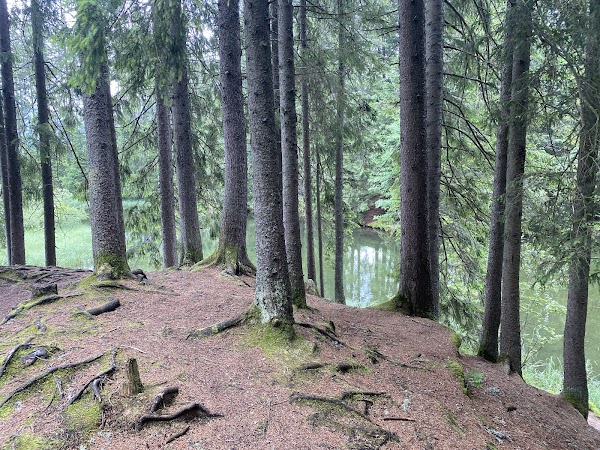 Vrbické pleso