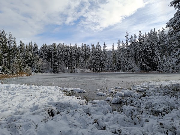 Vrbické pleso