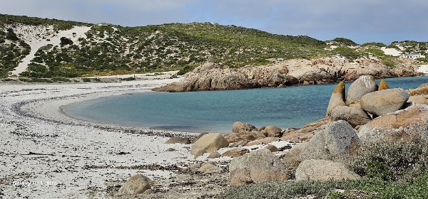 Cape Columbine Nature Reserve