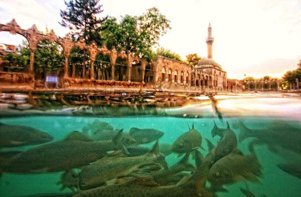 Fish Lake